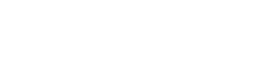 Logo Nav